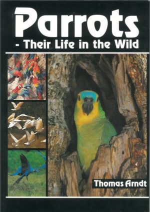 Honighäuschen (Bonn) - Für all diejenigen, die sich nicht damit begnügen, die große Familie der Papageien nur als gekäfigte Heimtiere zu schätzen, ist dieses Buch geschrieben worden. Lassen Sie sich entführen in eine Welt voller Überraschungen: in das Leben der Papageien in freier Natur. Sie erfahren, welchen Erfindungsreichtum die Loris, Kakadus, Sittiche, Aras und Amazonen besitzen, um zu überleben. Auch die Schattenseiten des Lebens der Papageien werden nicht verschwiegen. Heute sind eine Vielzahl der Arten vom Aussterben bedroht. In diesem Buch sehen Sie die letzten Aufnahmen des Spixaras im Freiland.