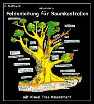 Honighäuschen (Bonn) - Die Körpersprache der Bäume und Pilze erlernen und ihre Warnsignale verstehen Naturnahe Biomechanik für jedermann Bäume sicher erhalten, ohne Menschen zu gefährden Für alle, die Bäume lieben oder für sie Verantwortung tragen