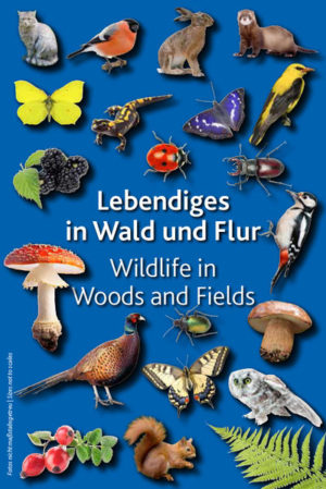 Honighäuschen (Bonn) - Säugetiere, Reptilien, Schmetterlinge, Insekten aber auch Früchte, Pilze, Farne und Moose, was Ihnen auf Ihren Touren durch die Natur begegnet läßt sich mit diesem Büchlein bestimmen.