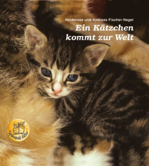 Honighäuschen (Bonn) - Drei kuschelige kleine Katzenkinder werden geboren! Dieses Buch illustriert eindrucksvoll, wie sie ihre ersten Schritte aus der Katzenkinderstube in die große weite Welt unternehmen, miteinander spielen und raufen, die Umgebung entdecken und dabei alles lernen, was für ihr zukünftiges Leben wichtig ist.