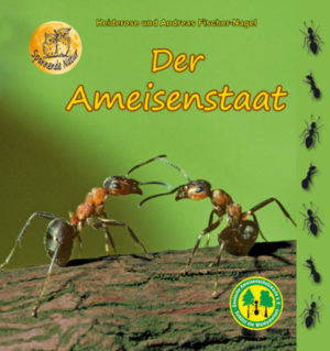 Honighäuschen (Bonn) - Waldameisen stehen unter Naturschutz und sind sehr nützlich. Wie spannend es sein kan, die kleinen Krabbeltiere bis in ihren Bau zu verfolgen und ihre Lebnsweise kennen zu lernen, zeigt dieses Fotosachbuch, das von vielen Ameisenschutzwarten gerne eingesetzt und empfohlen wird.