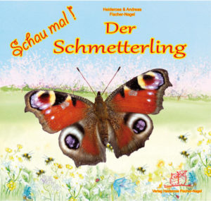 Honighäuschen (Bonn) - Schau mal, bunte Schmetterlinge gaukeln über Blumenwiesen! Besonders auffällig ist das Tagpfauenauge mit seinen bunten Augenflecken auf den Flügeln. Unscheinbar dagegen die Schmetterlingskinder, die Raupen, die sich an Brennesseln in wenigen Wochen zu einem wunderschönen Schmetterling zu entwickeln.