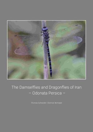 Honighäuschen (Bonn) - Dieses Buch ist die erste umfassende Publikation über Libellen im Iran. Innerhalb von sechs Jahren, von 2013 bis 2018, reisten die Autoren 16 Mal in fast jede iranische Provinz, um die dortige Libellenfauna zu untersuchen. Infolgedessen konnte eine neue Libellenart beschrieben werden: Aeshna vercanica Und andere Libellen wurden zum ersten Mal im Iran registriert. Dies sind: Lestes dryas, Lestes macrostigma, Platycnemis kervillei, Coenagrion puella, Coenagrion pulchellum, Coenagrion ponticum, Coenagrion lunulatum, Crocothemis sanguinolenta, Brachythemis contaminata, Trithemis pallidinervis und Caloptery s. tschaldirica. Insgesamt werden 103 Arten fotografisch dargestellt. Für die detaillierten Verbreitungskarten wurden Daten aus früher veröffentlichter Literatur und verfügbare unveröffentlichte Daten über iranische Libellen bis Ende 2018 erfasst und in eine Datenbank eingetragen. Weitere Informationen zu biometrischen Daten, Bestimmung, Lebensraum und Taxonomie werden gegeben. Eines der Hauptziele dieses Buches ist es, zum Erhalt des Naturerbes der iranischen Libellenfauna beizutragen, die durch die Wasserkrise und all ihre Auswirkungen stark gefährdet ist.