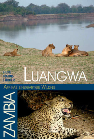 Dieses Werk ist eine Liebeserklärung an den schönsten und wildesten Fluss Afrikas. Ein hochwertiger Natur- und Kulturführer für das weltberühmte Luangwatal in Zambia. "Luangwa - Afrikas einzigartige Wildnis" Der Reiseführer ist erhältlich im Online-Buchshop Honighäuschen.