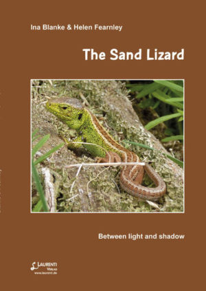 Honighäuschen (Bonn) - The lives of sand lizards are characterised by light and shadow. Sand lizards are particular and selective creatures