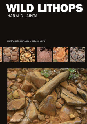 Honighäuschen (Bonn) - This unique monograph of the genus Lithops features all 91 currently accepted species from a field research perspective and provides a valuable guide to lithops in their natural surroundings. Almost 2000 colour habitat photographs and 13 typographic maps illustrate lithops relationships, diversity and distribution in southern Africa and a new simplified taxonomy is suggested. 60 portraits and related biographic information honour the dedicated work of past and present Lithoparians. A thorough review of published botanic and scientific data on Lithops plus a comprehensive annotated bibliography including over 700 references make this book a benchmark for plant lovers, succulent breeders and specialists of the unparalleled Living Stones.