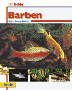 Honighäuschen (Bonn) - Barben sind beliebte Aquarienfische, die uns durch ihr munteres Treiben und mit ihren oft prächtigen Farben erfreuen. Besonders für Gesellschaftsaquarien sind die kleineren bunteren Barbenarten ideal, da sie in der Regel recht friedfertig gegenüber anderen Fischen sind. Barben, im aquaristischen Sinne, sind eine sehr uneinheitliche und unübersichtliche sowie artenreiche Fischgruppe, die weit über Asien und Afrika verbreitet ist. Ihre Lebensweise und ihr Verhalten ist zum Teil sehr unterschiedlich, weshalb eine Verallgemeinerung nicht möglich ist. Dieses Buch soll Ihnen helfen, für Sie geeignete Barben zu finden, das von den Fischen gezeigt Verhalten zu verstehen und auch einmal die Zucht von Barben erfolgreich zu meistern. Lassen Sie sich von diesen faszinierenden Barben - welche sich in ihrer Entwicklungsgeschichte in Form und Farbe, im gezeigtem Verhalten und an die verschiedensten Lebensbereiche angepaßt haben - in den Bann ziehen. Inhalt: -Barben in der Natur -Gewässertypen -Lebensraumtypen -Barben im Aquarium -Barbenzucht -Artenteil