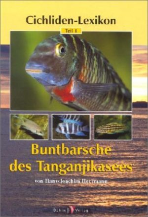 Honighäuschen (Bonn) - Noch immer geht eine unglaubliche Faszination von den Buntbarschen des Tanganjikasees aus. Ihr bemerkenswertes Verhalten begeistert immer wieder. Wissenschaftler, aber auch Aquarianer haben viel dazu beigetragen, dass wir heute mehr Informationen über die Cichliden des großen zentralafrikanischen Sees besitzen. Der Leser findet in diesem umfassenden und fundierten Lexikon über 50 ausführliche Gattungsbeschreibungen. Weit mehr als 350 Arten und geografische Farbrassen werden vorgestellt. Neben den Gattungen und Arten sind fast 550 Fachbezeichnungen, Ortsnamen und Fischfamilien lexikalisch dargestellt. Die klare Gestaltung, die umfangreichen Textangaben und die vielen Farbfotos machen das Lexikon zu einem übersichtlichen und ansprechenden Standardwerk.