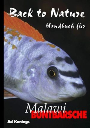 Honighäuschen (Bonn) - Die Malawibuntbarsche zählen seit den sechziger Jahren zur populärsten Fischgruppe aller Zeiten. Hauptgrund dafür sind ihre leuchtenden Farben, ihre leichte Pflege und ihr interessantes Verhalten. Eine Auswahl dieser Fische ist alles, was man benötigt, um ein interessantes und dekoratives Aquarium im Haus zu haben. Damit man sein Aquarium mit Malawibuntbarschen auch genießen kann, sollte man die besonderen Pflegebedingungen für diese Fische kennen. Dieses Handbuch bietet Anleitung zu allen Elementen einer artgerechten Pflege, z. B. der Auswahl des Beckens (mit Angaben zur Minimalgröße), der Schaffung und Erhaltung der richtigen Wasserbedingungen, der Ausgestaltung des Beckens und der Ernährung der Fische. Eine detaillierte Faltkarte und 600 Fotos machen dieses Handbuch unentbehrlich für jeden, der sich für diese herrlichen Fische interessiert. Dieses Buch ist die neu überarbeitete und stark erweiterte Version des Handbuchs für Malawibuntbarsche, das in dieser Serie 1997 veröffentlicht wurde. Es enthält mehrere neue Kapitel und die Anzahl der Fotos wurde verdoppelt. Bei Befolgung der Richtlinien aus diesem Buch können Sie sich schnell ein kleines Stück Malawisee in die Wohnstube zaubern, woran Sie, Ihre Familie und Ihre Freunde sich erfreuen werden.