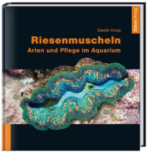 Honighäuschen (Bonn) - Ein Korallenriffaquarium ohne Riesenmuscheln? Für die meisten Aquarianer kaum vorstellbar! Die Leidenschaft, mit der diese hübschen Weichtiere von Aquarienfreunden in aller Welt gepflegt werden, hat dazu angeregt, das Standardwerk nach fast 15 Jahren komplett neu zu schreiben und zu bebildern. Alle heute bekannten Tridacnidae-Arten werden ausführlich vorgestellt, ihre Lebensweise, Anatomie und Fortpflanzung geschildert. Im Mittelpunkt steht die aquaristische Haltung von Riesenmuscheln, von der Kaufentscheidung bis zu erprobten Pflegetipps aus der jahrzehntelangen Erfahrung des Autors. Ein umfassendes Kapitel widmet sich der Vorbeugung und Behandlung von Krankheiten. Das letzte Kapitel zeigt die Gefährdung dieser Muscheln auf. Es erläutert detailliert die Nachzucht in speziellen Muschelfarmen, die versuchen, diese Perlen des Aquariums vor dem Aussterben zu retten.