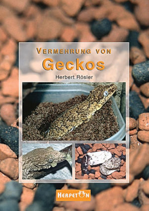Honighäuschen (Bonn) - Der Gecko-Experte Herbert Rösler gibt in diesem Standardwerk seinen reichen Erfahrungsschatz aus der Praxis und seine besten Tipps zur erfolgreichen Zucht von Geckos weiter. Das Buch stellt eine Synthese aus den eigenen langjährigen Zuchterfahrungen und einer gründlichen Literaturrecherche dar. Das übersichtliche Layout trägt dazu bei, dass die Anleitungen zu optimalen Zuchtbedingungen bis hin zur Aufzucht der Jungtiere, leicht aufzufinden und umzusetzen sind.