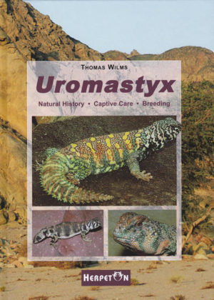 Honighäuschen (Bonn) - Complete information on all species of the genus Uromastyx. Important areas of interest for hobbyists, herpetologists and veterinarians are covered. Contents: Name and Systematics, Distribution and Zoogeography, Habitat and Natural History, Behavior, Captive Care, Reproduction, Raising the Hatchlings, Skin Diseases in Uromastyx, Identification Key for Uromastyx Species, The Species of the Genus Uromastyx, and more. The author: Thomas Wilms is a Biologist who has been working with Uromastyx for over 15 years and is successfully breeding many species in captivity. Through his travels within the natural habitat of Uromastyx, he has been able to add significantly to our scientific knowledge of these animals in the wild, even discovering entirely new species!
