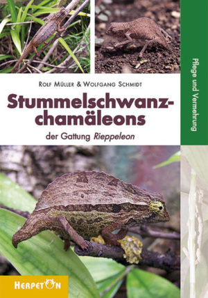 Honighäuschen (Bonn) - Die kleinen Minichamäleons sind inzwischen zu sehr beliebten Terrarientieren geworden. Die Autoren berichten in diesem Buch aus ihrem reichen Erfahrungsschatz.