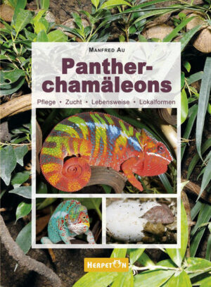 Honighäuschen (Bonn) - Das neue Buch über Pantherchamäleons (Furcifer pardalis) ist ein sehr ausführlicher Ratgeber für die Haltung und Zucht der beliebten Terrarientiere und stellt die farbenprächtigen Lokalformen in Wort und Bild vor.