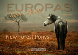 Wilde Pferde in Europa? Für viele kaum vorstellbar und doch gibt es noch Pferdeherden