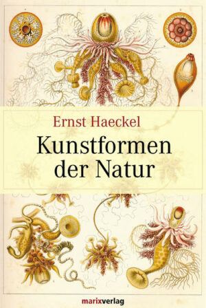 Der Zoologe und Philosoph Ernst Heinrich Haeckel (1834-1919) war einer der wichtigsten und vehementesten Wegbereiter des Darwinismus. In Verbindung mit der Evolutionstheorie vertrat Haeckel die Vorstellung des Kosmos als "allumfassendes Naturganzes". In dem Tafelwerk "Kunstformen der Natur" (1899 - 1904) verleiht Haeckel seinem Monismus eine künstlerische Ausdrucksform und verbindet auf geniale Weise die wissenschaftlichen Erkenntnisse mit seiner außerordentlichen künstlerischen Begabung.