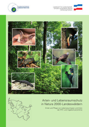 Arten- und Lebensraumschutz in Natura 2000-Landeswäldern: Erhalt und Pflege von Lebensraumtypen und Arten der FFH- und Vogelschutzlinie |