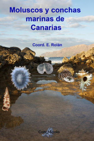 Honighäuschen (Bonn) - The marine Mollusca of the Atlantic Islands have been intensively studied in recent years. First results were published in the Malacological Fauna from the Cape Verde Archipelago (Rolan 2005). This new volume fills the gap in our knowledge on the fauna of the Canary Islands. Altogether 1,300 species are covered The descriptions that accompany the plates are minimal. However, more detailed information is available both in the text and on the CD which accompanies the book.