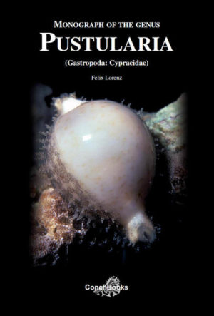Honighäuschen (Bonn) - This book gives a comprehensive look at a single genus of small cowries that seem to show little morphological variation. It renders a detailed analysis of every aspect that the cowry shell itself may reveal about its builder. While the results for this particular genus show a surprising consistency with the results of molecular analysis, this study can serve as an example of cowry studies that incorporate both disciplines: a modern approach to conchology as well as genetic barcoding. The genus Pustularia (Gastropoda: Cypraeidae: Pustulariinae) has a wide distribution in the Indo-Pacific and the Red Sea. Lacking an older fossil history, it is difficult to relate the genus to any other living group of cowries. Its eighteen taxa can be hard to distinguish. The shells are characterized by the presence, reduction, or absence of four key features of their coloration. More subtle structural features are used to distinguish between the subspecies. The distributions of the taxa in the Indo-Pacific are discussed. The secondary bilateral symmetry of the shell is a feature that characterizes many cowries, with Pustularia in particular. Discussions and descriptions of all species, subspecies, and their variations will be given. Three new subspecies are described: bistrinotata excelsior, b. ginoi, and chiapponii beatricae. More than 500 shells, and numerous animals are shown in the color plates to illustrate the subtle beauty of this genus.
