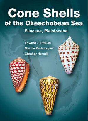 Honighäuschen (Bonn) - In this book, a total of 103 fossil cone species are redescribed and presented on 30 figure plates, their time ranges are compared in a digram, and two new genera are introduced (Herndliconus, p. 60, and Tequestaconus, p. 62). To each genus a picture of the type species is shown, and, wherever necessary, pictures of important conchological features are added after every description. As opposed to the "Compendium of Fossil Shells of Florida", Petuch & Drolshage, 2011, the shells on the figure plates are shown in true proportion, to give a visual overview of the dimensions of the single species in comparison to their congeners - an important distinguishing feature in identifying them. As a contribution to, and a summary of our present knowledge of fossil cones of southern Florida, this book represents the culmination of over 40 years of field research by the senior author.