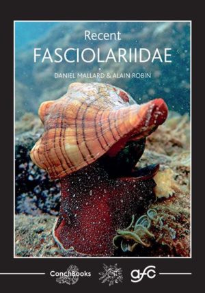 Honighäuschen (Bonn) - This new book illustrates as completely as possible all recent species of Fasciolariidae. It is based on the latest taxonomic and phylogenetic studies to provide a consistent classification and to allow a fast and easy identification.