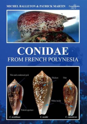 Honighäuschen (Bonn) - This booklet, which is only intended to help with the identification of members of the family Conidae from French Polynesia, is a complement to the book "Shells of French Polynesia". To finalize this book the authors had to dive many hours at night and day in the various habitats of the archipelagos. For each species you will find information concerning its distribution in the different archipelagos, a general description including its size, and an estimate of its rarity in French Polynesia. Where appropriate, similar species are compared in a sketch. Whenever possible living animals are figured.