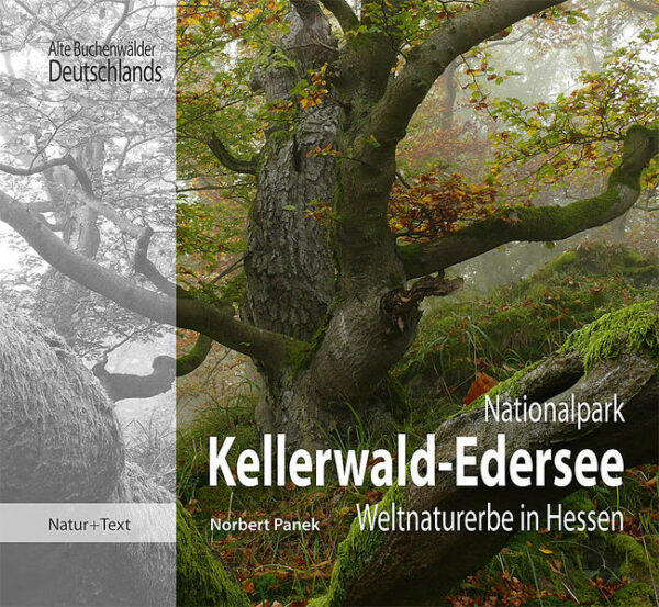 Honighäuschen (Bonn) - Felsiger Untergrund und Buchenwälder, so weit das Auge reicht, sind die Markenzeichen des Nationalparks Kellerwald-Edersee. Als eines der kleinsten Schutzgebiete seiner Art beherbergt es einen der größten zusammenhängenden Altbuchenbestände, wovon gut ein Drittel der Bäume älter als 160 Jahre ist.Doch im Nationalpark gibt es weit mehr zu sehen: Kleinflächige Urwaldrelikte an den Edersee-Steilhängen und die weltweit gefährdete Pfingstnelke, die im Kellerwald ein Schwerpunktvorkommen hat. Im Jahr 2011 wurde dieses Naturjuwel zum UNESCO-Weltnaturerbe gekürt. Der Nationalpark Kellerwald-Edersee ist damit Bestandteil eines transnationalen Netzwerkes, das seit Juli 2017 nunmehr 78 Buchenwaldgebiete umfasst, die eine den gesamten europäischen Kontinent umspannende Welterbestätte repräsentieren. Norbert Panek nimmt sie mit in das weitläufige Buchenmeer des Nationalparks, stellt die verschiedenen Waldtypen des Kellerwaldes und die darin vorkommenden Pflanzen und Tiere vor. Er erläutert die noch sichtbaren historischen Spuren der Bewirtschaftung, wie alte Hutungen oder artenreiche Talwiesengesellschaften. Weiterhin beschreibt er die bewegende Geschichte des Kellerwaldes sowie den langen und schwierigen Kampf für den Nationalpark Kellerwald. Wandertipps und Informationen zu den Besuchereinrichtungen rund um den Nationalpark vervollständigen das Buch.