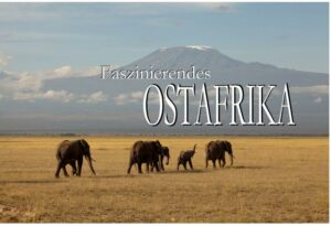 Jeder Besucher Ostafrikas kehrt mit unvergesslichen Eindrücken nach Hause zurück. Die faszinierende Vielfalt der Tier- und Pflanzenwelt