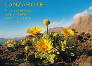 A serious guide to the natural history and topography of Lanzarote published in landscape format