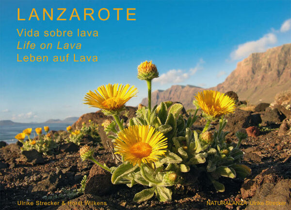 A serious guide to the natural history and topography of Lanzarote published in landscape format