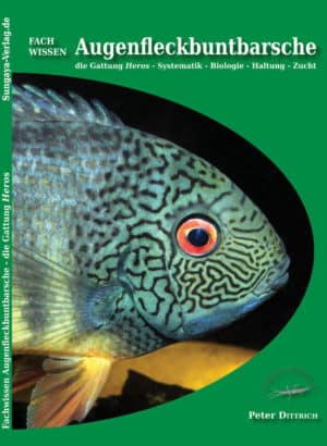 Die Augenfleckenbuntbarsche der Gattung Heros gehören zu den traditionsreichsten Fischen in der Aquaristik. Lernen Sie die einzelnen Arten, Lokal- und Zuchtformen kennen, erfahren Sie mehr über die natürlichen Lebensräume und die erfolgreiche Pflege im Aquarium.
