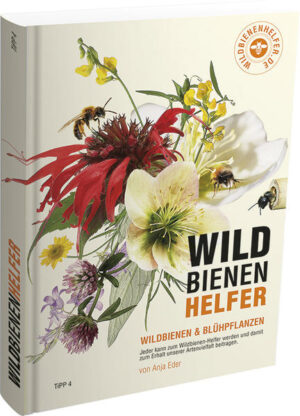 Honighäuschen (Bonn) - Das Wildbienenhelfer-Buch macht jeden - der will - zum Wildbienenhelfer. Seit Jahren vollzieht sich in Gärten und auf Feldern ein Massensterben. Pestizide und Nahrungsmangel sind dafür verantwortlich. Das Wildbienenhelfer-Buch beschreibt: wie erkenne ich Wildbienen welche Pflanzen brauchen sie wie schaffe ich optimalen Lebensraum Es führt, nach Monaten gegliedert, durch die Wildbienensaison und zeigt anschaulich, welche Pflanzen Nahrung bieten und welche Wildbienen unterwegs sind. Jeder, der einen Garten, Balkon oder andere Pflanzmöglichkeiten hat, kann gezielt das Nahrungsangebot für die bedrohten Insekten verbessern. Das Buch schärft den Blick auf die teilweise recht unscheinbaren Wildbienenarten und auf unsere heimischen Blühpflanzen. Denn letztlich kann man nur schützen, was man kennt. Es ist ein Buch für Entdecker und alle, denen unsere Artenvielfalt am Herzen liegt. Und es ist so anschaulich wie möglich gestaltet, damit Groß & Klein in die faszinierende Thematik eintauchen können. Die wenigsten Menschen kennen Wildbienen. Dabei gibt es allein in Deutschland über 560 Arten. In unseren Gärten lebt eine ungeahnte Vielzahl an Wildbienen. Sie suchen in unseren Städten Zuflucht, da sie in umliegenden Kulturlandschaften nur wenig oder keine Nahrung finden. Dort sorgen Monokulturen, der daraus entstehende Mangel an heimischen Blühpflanzen und das große Aufkommen an Pestiziden dafür, dass ein Überleben kaum möglich ist. Gartenbesitzer können mit gezielter Bepflanzung sehr viel für den Schutz der Wildbienen und gleichzeitig für viele weitere Insekten wie Schmetterlinge, Schwebefliegen oder Käfer tun. Unsere Gärten sind wichtige Inseln der Nahrungsvielfalt. Unsere heimischen Bienen fliegen in erster Linie heimische Blühpflanzen an. Daher sollte die Wahl der Bepflanzung mit Bedacht gewählt werden. Viele exotische Blühpflanzen bieten Insekten kaum oder keine Nahrung. Ebenso, wie gefüllte Blüten. Es ist gut zu wissen, auf welche Pflanzen das zutrifft. Zu guter Letzt profitieren auch unsere Gartenvögel von einem nachhaltig, gut durchdachten Garten. Wie nisten Wildbienen? Durch das Aufräumen unserer Gärten vernichten wir Nistplätze oder beseitigen unwissend, die in Pflanzenstängeln oder Totholz befindlichen Larven vieler Wildbienenarten. Denn viele Arten überwintern in vertrocknetem Pflanzenmaterial oder in totem Holz. Auch hier ist es gut zu wissen, was wir ändern oder vermeiden können. Pestizide in unseren Gärten? Durch den Kauf von Großmarktpflanzen können mit Pestiziden belastete Blühpflanzen in unsere Gärten gelangen. Das ist das Ergebnis einer Greenpeace-Studie von 2014. 79 Prozent der untersuchten Pflanzen aus Gartencentern sowie aus Bau- und Supermärkten in Europa waren stark mit Bienen gefährdenden Pestiziden belastet. Wir Verbraucher können etwas dagegen unternehmen. Umdenken, genauer hin schauen und umweltfreundlich handeln. Die zweite, inhaltlich komplett aktualisierte, Ausgabe beinhaltet viele neue Fotos und ein übersichtliches, 4seitiges Stichwortregister ist hinzugekommen.