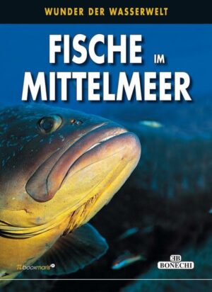 Honighäuschen (Bonn) - Tolle Fotos der Mittelmeerfische in ihrem natürlichen Habitat!