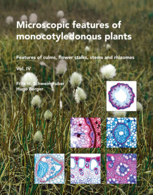 Honighäuschen (Bonn) - Here we present 104 features of culms and 103 features of rhizomes of crosssections of monocotyledonous plants occurring in the temperate and Mediterranean zone along altitudinal gradients from the lowland to the alpine zone. It is the first time that a synthesis of monocotyledonous-anatomical features of Western European plants is presented. The feature list is based on microslides from 580 species within 28 families. Included are culms of grasses, sedges and rushes and flower stalks of many other plants. Culms of grasses can be made of dry, herbarium material. For all other species only fresh material allows to make sections without drying artefacts. Blue-red color photographs in magnification of 100 and 400 times contain information about lignification and many structural features. The list of features clearly shows, that the anatomical variability with monocotyledonous plants is almost as high as in dicotlyedons. The features indicate relations to taxonomy and ecological conditions.