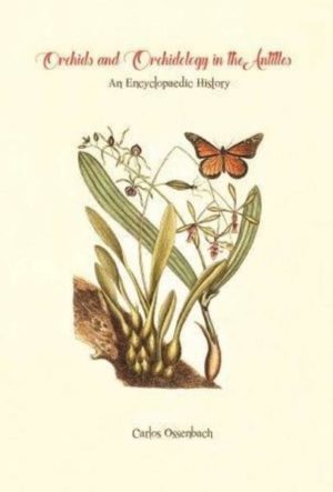 Honighäuschen (Bonn) - This book is the continuation of an ambitious project of the author, which began in 2009 with the publication of 'Orchids and orchidology in Central America: 500 years of history (Ossenbach,C. 2009. Lankesteriana Vol. 9 (1-2): 1-268)'. This second part continues the tale of the pioneers and explorers who collected plants in the wild and little - known parts of the world, of the scientists who classified and named the thousands of new species, the growers and experimenters who have literally given orchids to the world. In short, this is the story of all the individuals and institutions whose lives - and often deaths - were related to the use, commerce, study or conservation of this large and magnificent plant family. However, the actors of our Caribbean history are of quite different character compared to many of those who hunted orchids in Central and South America. The Antilles - with rare exceptions - lack the large, showy orchids- the magnificent Cattleyas and Odontoglossums, the spectacular Masdevallias - of which the prestigious European nurseries could never get enough. They did not waste their time and money sending their collectors to the Caribbean islands. What we will see then is a large number of horticulturists and botanists who visited the islands during the last five centuries, but rarely with material interests. They came with orders from their Governments to shed light on the secrets of nature, find plants of economic use, or that would bring ornament to the King's gardens. This is probably what gives the history of orchids in the Antilles such a special interest. Plumier collected for the Franch Academy and the 'Jardin du Roi', Jacquin for the Schönbrunn Garden of Francis I, and Olof Swartz apparently collected for the sheer joy of learning and transmitting his knowledge to the word. Most of these collectors competed with each other for the fame of being the better botanist, but money and wealth were not the issue of the day.