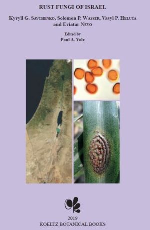 Honighäuschen (Bonn) - This book is devoted to the diversity of the rust fungi of Israel. In total, 181 species belonging to 18 genera of Pucciniales are described, from which 4 genera such as Caeoma, Cumminsiella, Ochropsora, and Pucciniastrum, together with 23 species are new for Israel, including 3 novel species Caeoma origani, Puccinia biteliana, and Puccinia rayssiae. The book consists of 2 main parts: (1) a general section providing data regarding materials and methods, and historical studies of rust fungi in Israel