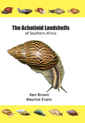 Honighäuschen (Bonn) - This review of the Achatinidae of Southern Africa is aimed squarely at the hobbyist and amateur collector. It showcases the diversity of Southern Africa's Achatinidae, and it is a tribute to the greatness of Africa's fauna. The book highlights the many problems created by earlier collectors and scientists, and is a call to a holistic an balanced approach to future identification.