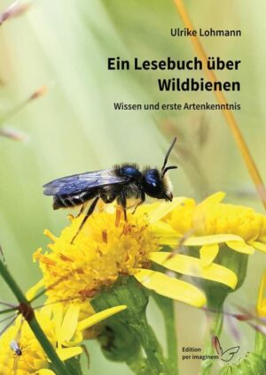 Ein Lesebuch über wilde Bienen: Wissen und erste Artenkenntnis | Ulrike Lohmann