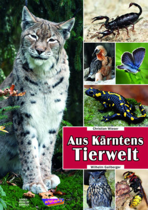 Honighäuschen (Bonn) - Das Buch Aus Kärntens Tierwelt ist das schöne Ergebnis einer jahrelangen Zusammenarbeit zwischen dem Landesmuseum für Kärnten und MINI-MAX, Der 1. Kärntner Zeitung für Schule und Freizeit, die sich beide hoch engagiert für die Vermittlung und Verbreitung von Wissen unter Kindern und Jugendlichen einsetzen. Die große Popularität von MINI-MAX bei der jungen Leserschaft und die mehr als 85 Beiträge zur Fauna Kärntens, die Dr. Christian Wieser, Abteilungsleiter für Zoologie am Landesmuseum für Kärnten, im Laufe der Zeit dafür verfasst hat, waren der Anlass für diese Buchkooperation. Dafür wurde eine Auswahl von Beiträgen überarbeitet, ergänzt und neu gestaltet sowie mit großartigen Fotoaufnahmen von Wilhelm Gailberger illustriert. Ob Schmetterling, Biene, Skorpion, Luchs, Eule, Bartgeier, Bär, Fuchs, Igel oder Salamander  sie alle werden in leicht verständlichen Texten und mit Fotos veranschaulicht. So steht einem anschließenden Ausflug in die Natur nichts mehr im Wege. Und so wird Gelesenes erlebbar!