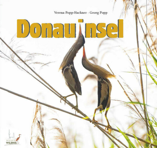 Honighäuschen (Bonn) - Die Donauinsel in Wien! Wir alle kennen sie. Oder besser gesagt, wir glauben, sie zu kennen. Denn dieses Buch präsentiert eine ebenso faszinierende wie unerwartet vielfältige Natur, die man kaum vermuten würde. Die Donauinsel steckt voller kleiner Wunder: Beutelmeisen flechten kunstvollen Nester, blitzblaue Eisvögel fliegen durch alte Auwälder, hier leben Frösche, Libellen, Reptilien und vieles mehr! Nach dem großen Erfolg des ersten Buches über die Tierwelt Wiens (WIENER WILDNIS erschien Ende 2017) haben sich die Fotografen die letzten beiden Jahre schwerpunktmäßig dem Thema Donauinsel verschrieben. Ab Ende April 2021 ist nun das Ergebnis zu sehen. Ausgerüstet mit technischer Raffinesse und immenser Geduld führen sie euch durch die Natur der Insel im Wandel der Jahreszeiten. Fast zwei Jahre waren sie zu Fuß, per Rad und im Kajak auf Achse und haben spannende und faszinierende Momente mit ihren Kameras eingefangen. Die Donauinsel entstand einst beim Bau des Wiener Hochwasserschutzes und wurde von den Wienern zum perfekten innerstädtischen Freizeit- und Erholungsareal auserkoren. Eine Natur aus zweiter Hand, die für die Bevölkerung einer Millionenmetropole leicht erreichbar ist, erfordert jedoch auch lenkende Maßnahmen, um die Insel auch in Zeiten des Klimawandels fit für die Zukunft zu halten. Anhand atemberaubender Aufnahmen und mit vielen begleitenden Texten über Mähschafe, Artenschutz oder ökologische Bewässerung gelang ein Porträt des einzigartigen innerstädtischen Naturraums DONAUINSEL, wie es bislang noch nie gezeigt wurde. Abgerundet werden die vielen informativen Stories mit einem Kapitel über die fotografischen Tricks, die beim Entstehen des Buches zur Anwendung kamen. www.facebook.com/WienerWildnis www.wienerwildnis.at