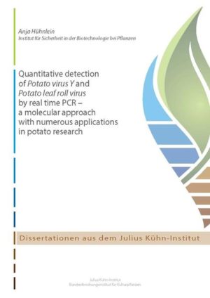 Honighäuschen (Bonn) - Virusresistenzforschung an der Kartoffel hat hohe Priorität. In Kartoffelanbauregionen Afrikas ist die Mehrzahl der auf regionalen Märkten angebotenen Knollen mit Kartoffelviren, wie Potato virus Y (PVY) und/oder Potato leaf roll virus (PLRV) infiziert, was regelmäßig zu katastrophalen Ernteausfällen führt. Im Gegensatz dazu spielen Viruskrankheiten der Kartoffel aufgrund effizienter Saatgutzertifizierungssysteme in Industrienationen kaum eine Rolle. Nichtsdestotrotz zählen PVY und PLRV aufgrund des hohen potentiellen Ertragsverlustes weltweit zu den bedeutendsten Pathogenen der Kartoffel. Wegen ihrer hohen Replikationsrate entwickeln sich Viren sehr schnell und könnten bestehende Resistenzen überwinden. In jüngster Zeit wurden die gewöhnlichen PVY-Stämme immer mehr durch rekombinante Stämme, wie PVYN-Wi oder PVYN:O und PVYNTN verdrängt. Diese sind höchst virulent und sind Verursacher von Ringnekrosen an Kartoffelknollen (potato tuber necrotic ringspot disease: TNRD). Diese Herausforderungen in der Kartoffelforschung und im Kartoffelanbau erfordern erweiterte Kenntnisse über die Epidemiologie von PVY- und PLRV-Stämmen. Zudem müssen sich Züchtungsprogramme der Kartoffel auf die Einführung neuer Resistenzgene und der Generierung von Genotypen konzentrieren, die an die klimatischen Bedingungen ihrer Anbauregion angepasst sind. Zuverlässige und sensitive Methoden zur Virusdetektion können bei der Lösung der genannten Herausforderungen helfen. In dieser Arbeit werden die Entwicklung und Anwendung von reverse transcription real-time PCR (RT-qPCR)-Detektionsverfahren vorgestellt, die die weltweit bedeutendsten Kartoffelviren PVY und PLRV quantifizieren und damit einen wichtigen Beitrag auf verschiedenen Gebieten der Kartoffelforschung leisten können. Es wird dargestellt, dass das entwickelte RT-qPCR-Detektionsverfahren für die Quantifizierung von PVY hoch sensitiv ist und für die direkte Testung sogar frisch-geernteter Kartoffelknollen während der Saatgutzertifizierung eingesetzt werden kann. Ein ähnlich sensitives Verfahren wurde verwendet, um Solanum-Arten und Nachkommen von somatischen Hybriden auf das Niveau ihrer Resistenz gegen PVY zu bewerten. Die Anreicherung von PVY variierte zwischen den Wildkartoffelarten, die bis dahin einheitlich als extrem resistent eingestuft worden waren. Somit könnte die RT-qPCR ein interessantes Werkzeug für die Resistenz-Evaluierung in Züchtungsprogrammen sein. Eine andere Anwendung der RT-qPCR stellt die Einschätzung der Virulenz verschiedener PLRV-Isolate dar. Ein Zusammenhang zwischen dem PLRV-Titer in Kartoffelpflanzen und der Virulenz der Virusisolate konnte nicht ermittelt werden. Allerdings erlaubt die unterscheidende Quantifizierung verschiedener PLRV RNA-Arten weitere epidemiologische Studien. Abschließend wurde demonstriert, dass die RT-qPCR ein nützliches Werkzeug ist, um die Äquivalenz gentechnisch veränderter Kartoffeln hinsichtlich ihrer PVY-Anfälligkeit zu untersuchen. Eine erhöhte Anfälligkeit für PVY könnte ein verlässlicher Indikator für mögliche ungewollte Effekte sein, die durch die genetische Modifikation verursacht wurden. Es wird gezeigt, dass der Nachweis von Äquivalenz schwierig ist, wenn der nicht-transgene Komparator selbst nicht äquivalent ist und wenn die Einstufung in äquivalent und nicht-äquivalent abhängig von Umweltbedingungen ist.