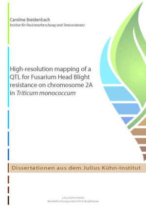 Honighäuschen (Bonn) - Securing wheat production is of prime importance with regard to feeding the earths growing population. Wheat is threatened by a lot of abiotic and biotic factors leading to severe yield losses. One important disease is Fusarium Head Blight (FHB), caused by different Fusarium spp. The disease leads to yield losses up to 40 %, a reduction in quality and a health risk for mankind due to toxic secondary metabolites that arise during the infection process. Therefore, FHB belongs to the most important wheat diseases and is extensively studied worldwide. To improve resistance of wheat to Fusarium spp., this study was conducted to get detailed information on the genetics of a new source of resistance, detcted in Triticum monococcum, which is a close relative of bread wheat. To achieve this, a DH-population based on a cross between Triticum monococcum accession mon10-1, which is moderately resistant to FHB and the FHB susceptible Triticum monococcum L. conv. sinskayae (Sinskayae) comprising of 94 DH-lines was analysed. The population was phenotyped in two years field trials and genotyped by DArT analyses resulting in a genetic map of 1987.55 cM. Based on these data, two neighbouring QTLs were mapped in an interval of 45.1 cM on the short arm of chromosome 2A. Further analyses aimed at shortening the QTL interval and the identification of closely linked markers and candidate genes by a map-based cloning approach. A high-resolution mapping population was developd out of 1991 F2-plants, that traced back to crosses between three susceptible and two resistant DH-lines of the original population. 333 RILs were developed of which 268 were used for phenotypic evaluation with F. culmorum (Isolate: Fc46) in field and greenhouse trials. Marker saturation was conducted based on the 90K iSelect chip, genotyping-by-sequencing (GBS) and known genetic maps of Triticum monococcum. Out of these, 21 KASP markers were developed and mapped within the QTL interval. Assigning these markers to the physical map of T. aestivum resulted in an interval of 31.4 Mbp. However, by phenotyping respective segmental RILs, the resistance locus was not located within this interval. A new QTL analysis with a reduced marker set of the DH-mapping population using their physical postitions was conducted and resulted in a switch of the peak markers to a proximal region of chromosome 2A into an interval between 499.25  607.96 Mbp. This QTL mapped in the same region like the soft glume (sog)-gene, but it is unclear if the QTL effect is due to tight linkage between sog- and FHB resistance gene or pleiotropy.