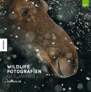 Die besten Bilder des Wildlife Photographer of the Year-Awards 2020 Der renommierte