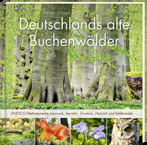 Honighäuschen (Bonn) - Weltnaturerbe in Brandenburg, Hessen, Mecklenburg-Vorpommern, Thüringen Es gibt nur noch wenige Buchenwälder in der Welt, die in ihrer Unberührtheit überdauert haben. Der Autor Karl-Heinz Engel hat die fünf Buchenwaldgebiete Deutschlands, die 2011 in die Liste des Weltnaturerbes aufgenommen wurden, durchwandert, sie beschrieben und fotografiert und so ein eindrucksvolles Bild von ihnen gezeichnet. Folgen Sie ihm in den Grumsiner Forst in Brandenburg, in die Buchenwaldgebiete der Nationalparks Kellerwald-Edersee in Hessen, Hainich in Thüringen sowie Jasmund und in den Serrahn-Teil des Müritz-Nationalparks in Mecklenburg-Vorpommern. Entdecken Sie die Artenvielfalt in den jahrhundertealten Wäldern und die Schönheit der Bäume. Sie präsentieren ein beeindruckendes Kapitel Naturgeschichte.