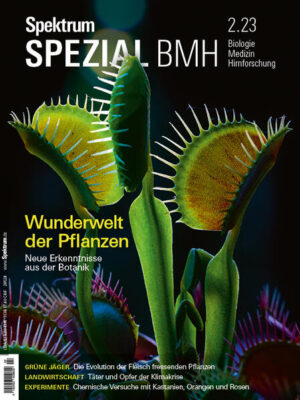 Spektrum Spezial BMH - Wunderwelt der Pflanzen: Neue Erkenntnisse aus der Botanik | Spektrum der Wissenschaft