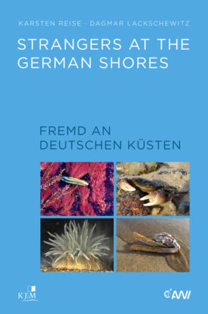 Strangers at the German Shores. Fremd an deutschen Küsten | Karsten Reise