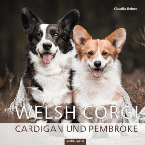 Honighäuschen (Bonn) - Frohnatur mit Herz Welsh Corgis verdanken ihre Popularität vor allem der Tatsache, dass der Corgi Pembroke bis vor Kurzem aus dem englischen Königshaus nicht wegzudenken war. Neben dem Pembroke, mit der oftmals kurzen Rute, ist der Welsh Corgi Cardigan ein ebenso fröhlicher und anpassungsfähiger Gefährte. Die zu den britischen Hütehunden zählenden Rassen waren bei uns früher recht selten, aber in den letzten Jahren erfreuen sie sich auch außerhalb von Großbritannien immer größerer Beliebtheit. In diesem Buch erfahren Sie alles über diese wunderbaren Hunde. Die Geschichte, Herkunft sowie die Standards beider Rassen werden ausführlich beschrieben und erläutert. Kenntnisse zum Wesen und den richtigen Umgang mit diesen Hunden sowie Informationen zu Pflege und Gesundheitsvorsorge sind wichtig, um den Alltag mit einem Corgi gut meistern zu können. Ein ausführliches Kapitel über die Farbgenetik erklärt, wie die vielen verschiedenen anerkannten Varianten der Fellfarben zustande kommen. Dies ist in der deutschen Literatur bisher nicht zu finden und besonders für Züchter und all jene, die sich für den Erhalt dieser alten Rassen interessieren, wichtig. Auch über das Vereinsgeschehen, das Ausstellungswesen und die Zucht dieser britischen Hütehunde wird berichtet. Bezaubernde Geschichten über den Mythos Corgi, wunderbare Fotos und informative Grafiken runden das Ganze ab. Das erste deutschsprachige Buch über die Welsh Corgis ist ein Muss für alle, die sich für diese nicht nur königlichen Hunde interessieren!