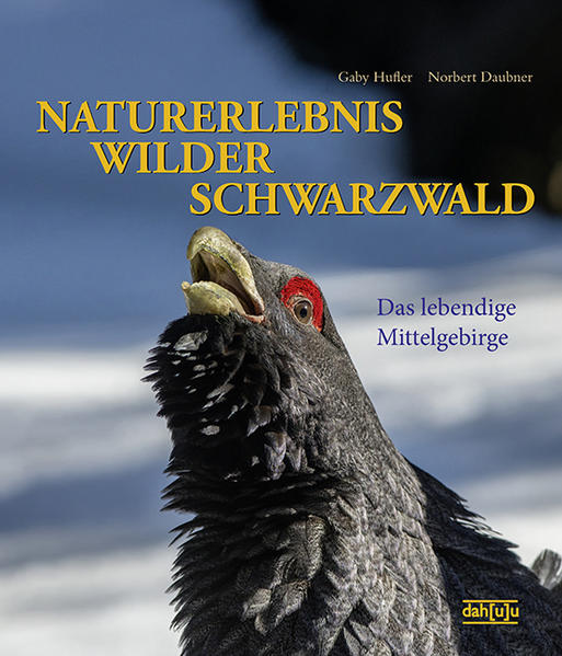 NATURERLEBNIS WILDER SCHWARZWALD | Honighäuschen