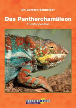 Honighäuschen (Bonn) - Pantherchamäleons erinnern an urzeitliche Echsen. Immer wieder faszinierend zu beobachten: Beute schießen sie blitzschnell mit der Zunge