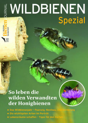 Bienen-Journal Spezial Wildbienen | Honighäuschen